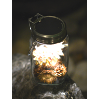 SONNENGLAS Classic 1 Liter 