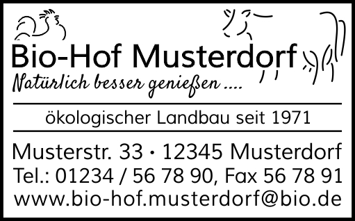 Ersatztextplatte für Colop Classic Line 2600 