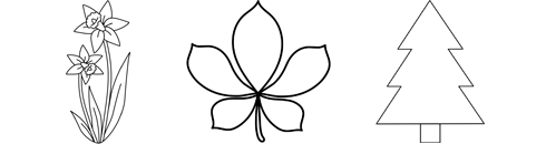 Pflanzen