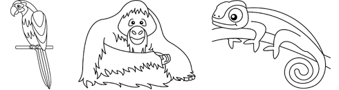 Dschungel